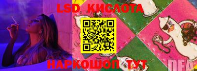 spice Свободный