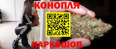 шишки Северобайкальск
