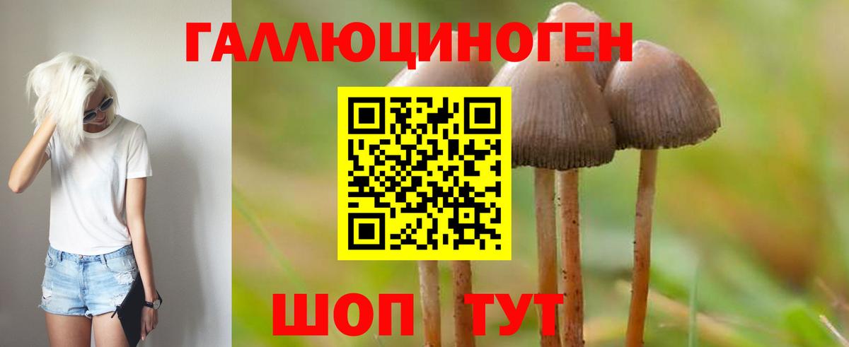 Псилоцибиновые грибы мухоморы Родники